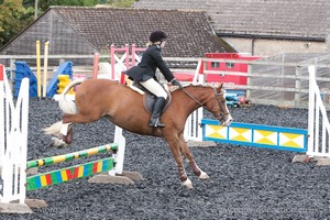 Class 3 -  Fences not above 2'3